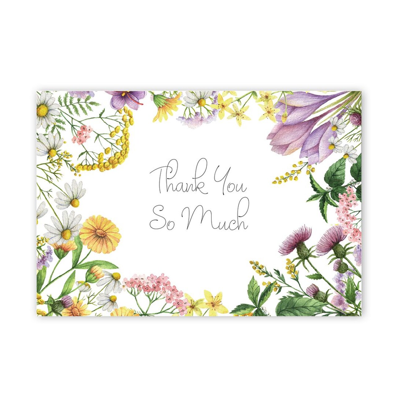 Great Papers! Flower Meadow Thank You Note Card and White Envelope, 4.875" x 3.375", 24 count